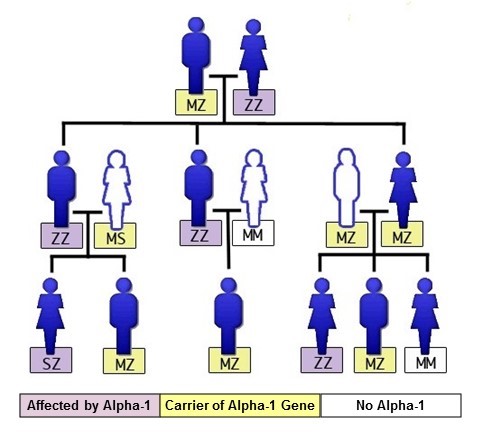 FAQ  Alpha Genetics